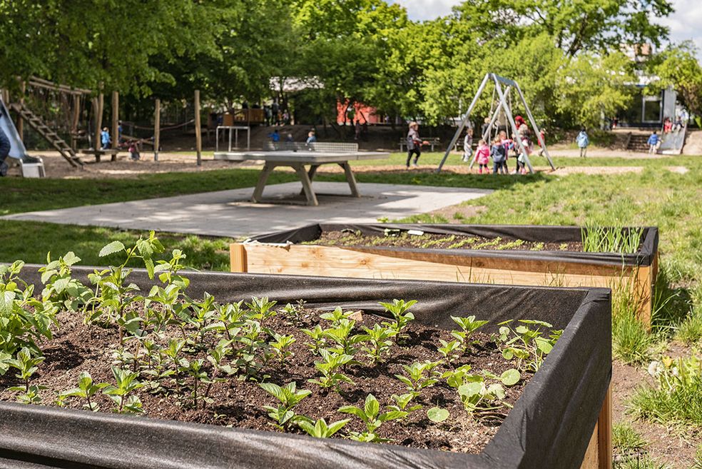Bild: Zwei Hochbeete in der Nähe von einem Spielplatz.